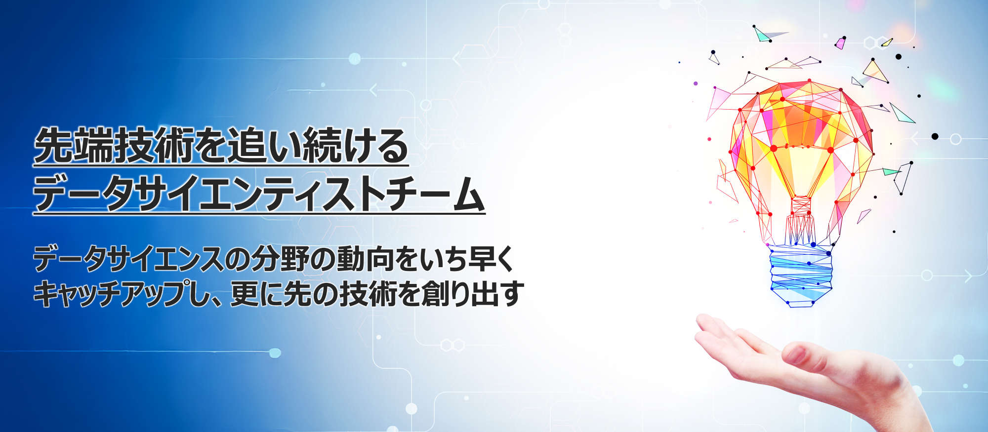 YAMALEX, データサイエンティストチーム