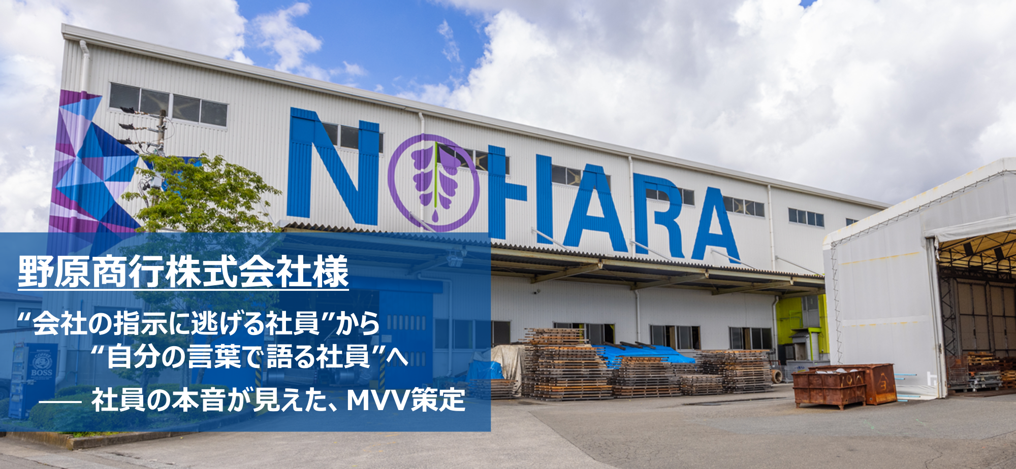 MVVコンサル、野原商行